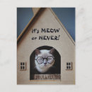 Search for serious postcards Humour