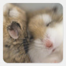 Search for bobbing stickers Cute