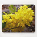 Search for oregon mouse mats Flower