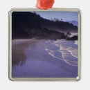 Search for cannon beach christmas tree decorations Seascape