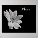 Search for destiny destinys peace posters Birthday