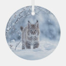 Search for bobcat christmas tree decorations Wildlife