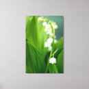 Search for lily of the valley art Nature