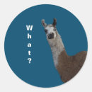 Search for tshirt stickers Fun