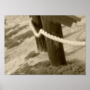 Search for beach fence posters Photography