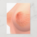 Search for three dimensional postcards Organ