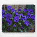 Search for viola mouse mats Pansies