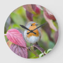 Search for robin clocks Nature