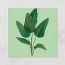 Search for banana leaf business cards Green