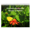 Search for butterfly calendars Insects