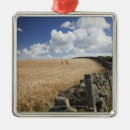 Search for fence christmas tree decorations Agriculture