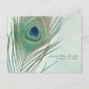 Search for peacock feather save Rustic