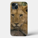 Search for staring cases Mammal
