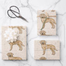 Search for yellow lab wrapping paper Animal