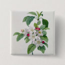 Search for redoute badges 19th