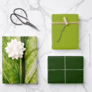Search for eco friendly wrapping paper Green