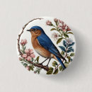 Search for bluebird badges Nature