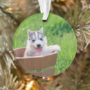 Search for alaskan husky christmas tree decorations Puppy