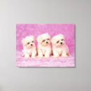 Search for behaviour canvas prints Horizontal