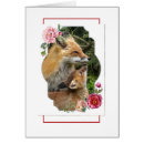 Search for nurture cards Care