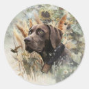 Search for german shorthaired pointers stickers Hunting