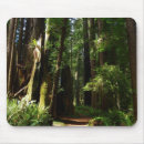 Search for redwood mouse mats Forest