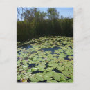 Search for blue pond postcards Trees