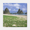 Search for coastline magnets Blue sky