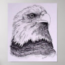 Search for endangered birds posters Rare