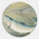 Search for salmon fish stickers Fisherman