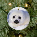 Search for baby seal christmas tree decorations Pup