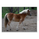Search for chestnut horse cards Brown