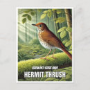 Search for hermit thrush Vermont