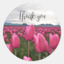 Search for beautiful tulips stickers Garden