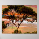 Search for roos posters Wildlife