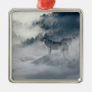 Search for wintry christmas tree decorations Cold