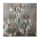 Search for close up tiles Gallo images