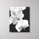 Search for 16x20 posters Photography