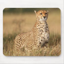 Search for visibility mouse mats Horizontal