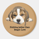 Search for beagle magnets Hound