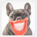 Search for funny french bulldog stickers Animals