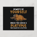 Search for platypus Funny sayings