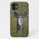 Search for duck iphone cases Nature