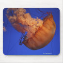 Search for translucent mouse mats Animal