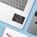 Search for earth light stickers City lights