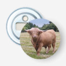Search for cow bottle openers Horn