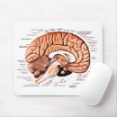 Search for human anatomy mouse mats Medical