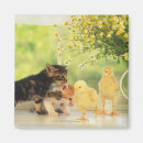 Search for front view magnets Horizontal