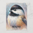Search for chickadee postcards Watercolor