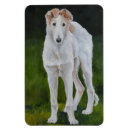 Search for borzois magnets Pet